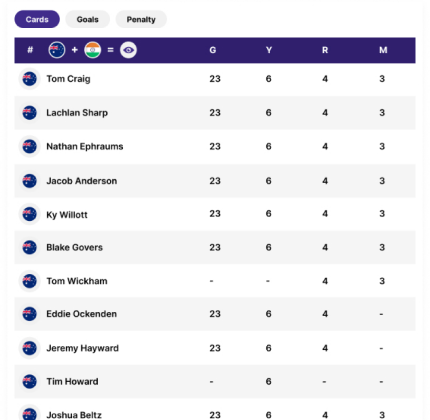 Players Statistics Widget Image